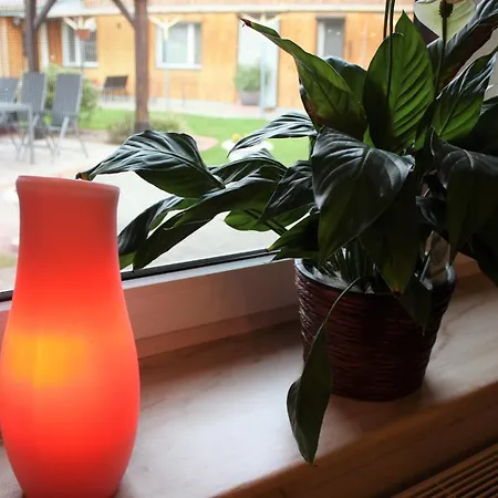 Apartamento Spreewald Unterkuenfte Briesensee