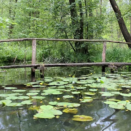 Spreewald Apartment *