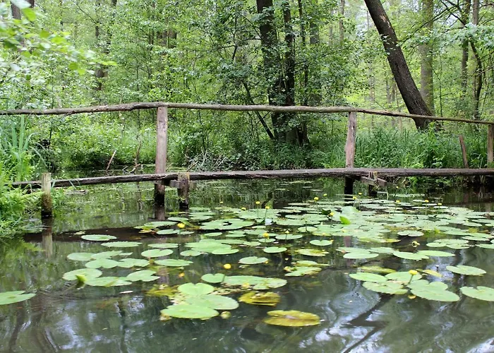 Spreewald Unterkuenfte Daire *